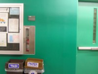 Wee Man Investigation